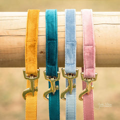 Kentucky Horsewear Dog Leash Velvet 120 cm