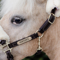 Kentucky Horsewear Leather Halter Sheepskin