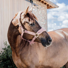 Kentucky Horsewear Teddy Fleece Halter