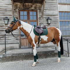 Kentucky Horsewear Saddle Pad Velvet Pearls Jumping