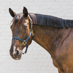 Kentucky Horsewear Nylon Halter Breakaway