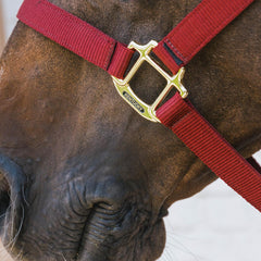 Kentucky Horsewear Nylon Halter Breakaway