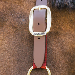 Kentucky Horsewear Nylon Halter Breakaway