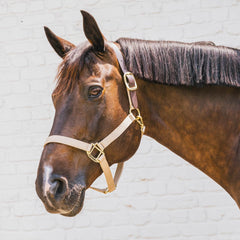 Kentucky Horsewear Nylon Halter Breakaway