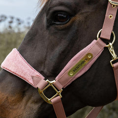 Kentucky Horsewear Velvet Halter Unicorn Glitter