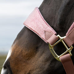 Kentucky Horsewear Velvet Halter Unicorn Glitter
