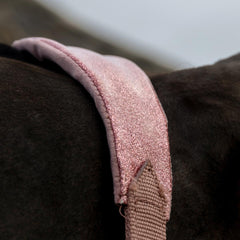 Kentucky Horsewear Velvet Halter Unicorn Glitter