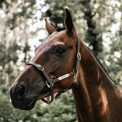 Kentucky Horsewear Leather Halter Flexible Neck Piece