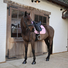 Kentucky Horsewear Saddle Pad Sammy Collection Dressage