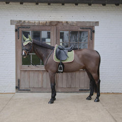 Kentucky Horsewear Saddle Pad Softshell Onion Quilt
