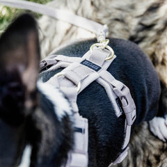 Kentucky Horsewear Dog Harness Active Velvet