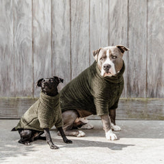 Kentucky Horsewear Dog Sweater Teddy Fleece