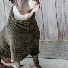 Kentucky Horsewear Dog Sweater Teddy Fleece