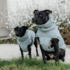 Kentucky Horsewear Dog Coat Winter Pina