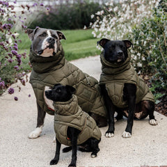 Kentucky Horsewear Dog Coat Winter Pina