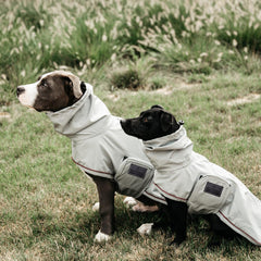 Kentucky Horsewear Dog Raincoat