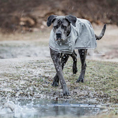Kentucky Horsewear Dog Raincoat