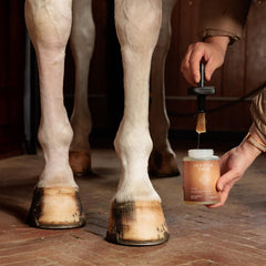 Grooming Deluxe GD Hoof Oil Shine
