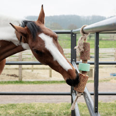 Grooming Deluxe Wooden Relax Horse Toy with Salt Lick
