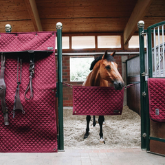 Kentucky Horsewear Stable Curtain