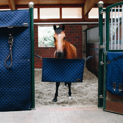 Kentucky Horsewear Stable Guard