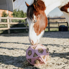 Kentucky Horsewear Relax Horse Play & Hay Ball