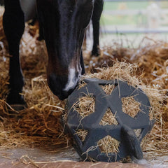 Kentucky Horsewear Relax Horse Play & Hay Ball
