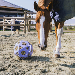 Kentucky Horsewear Relax Horse Play & Hay Ball