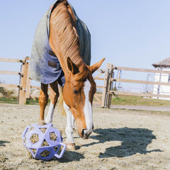 Kentucky Horsewear Relax Horse Play & Hay Ball