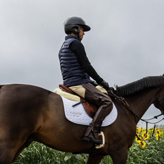 Kentucky Horsewear Bodywarmer Men