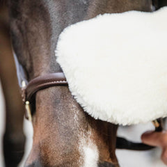 Grooming Deluxe Sheepskin Grooming Glove
