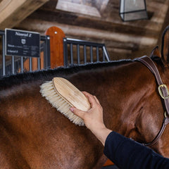 Grooming Deluxe Wooden Classic Brush long soft