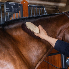 Grooming Deluxe Wooden Classic Brush long soft