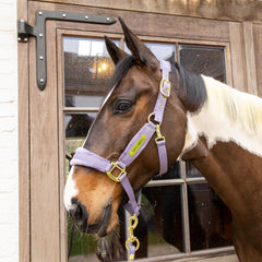 Kentucky Horsewear Velvet Halter
