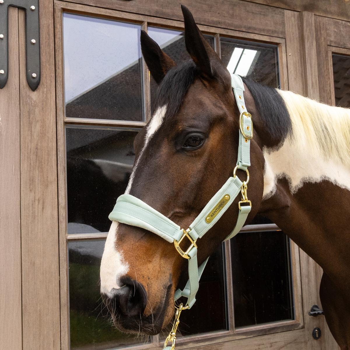 Kentucky Horsewear Velvet Halter