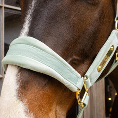 Kentucky Horsewear Velvet Halter