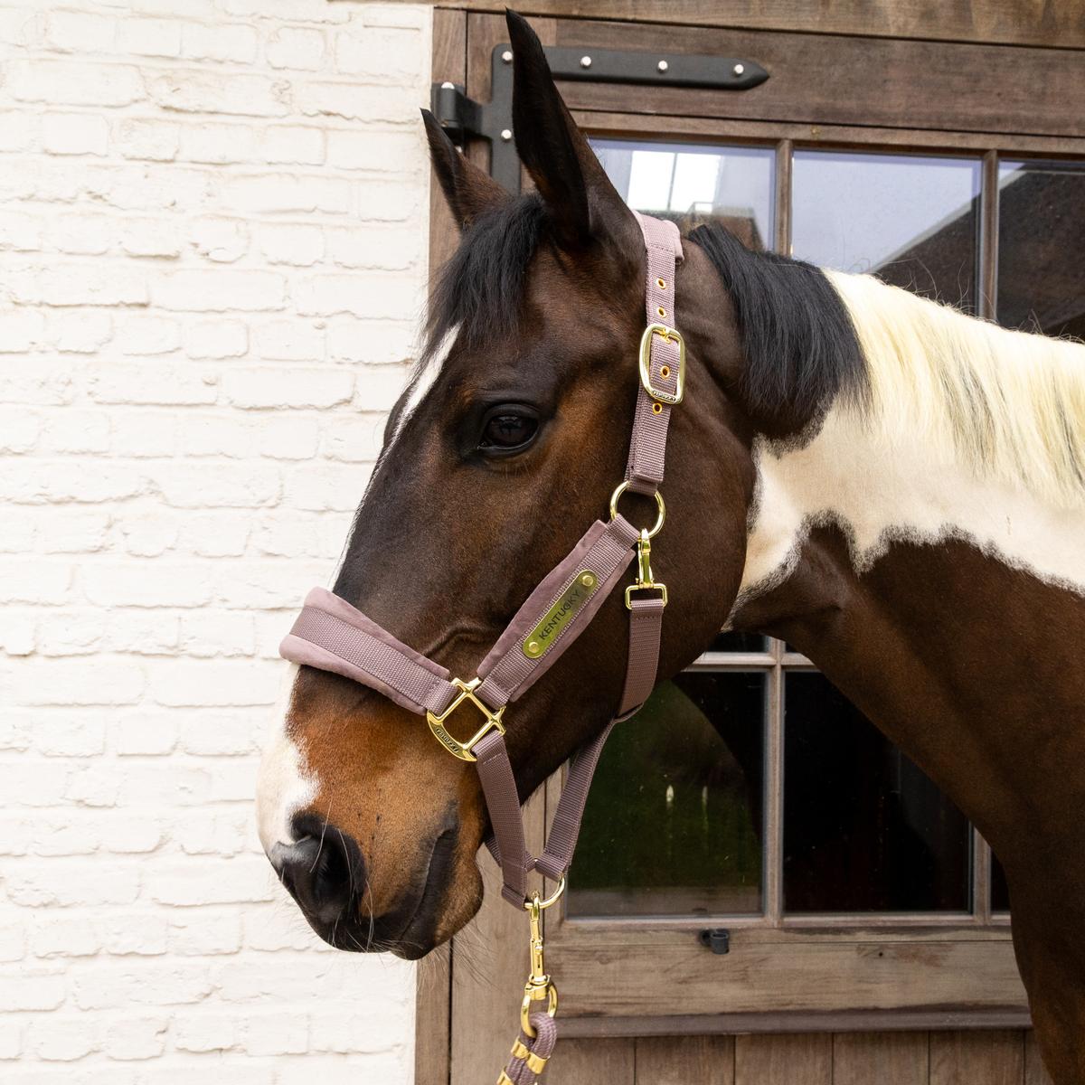 Kentucky Horsewear Velvet Halter