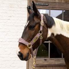 Kentucky Horsewear Velvet Halter