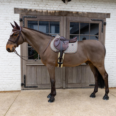 Kentucky Horsewear Saddle Pad Velvet Pied-de-Poule Show Jumping