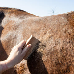 Grooming Deluxe Easy Grooming Shedding Brush