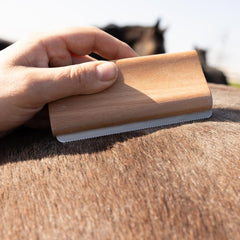 Grooming Deluxe Easy Grooming Shedding Brush