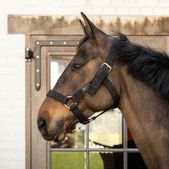 Kentucky Horsewear Heavy Duty Halter