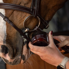 Grooming Deluxe Mouth & Bit Butter
