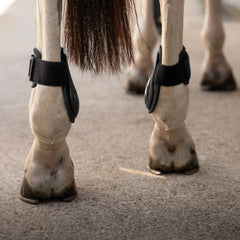 Kentucky Horsewear Young Horse Fetlock Boots Pro
