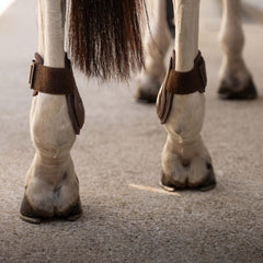 Kentucky Horsewear Young Horse Fetlock Boots Pro