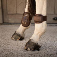 Kentucky Horsewear Young Horse Fetlock Boots Pro