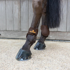 Kentucky Horsewear Young Horse Fetlock Boots Classic