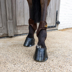 Kentucky Horsewear Young Horse Fetlock Boots Classic