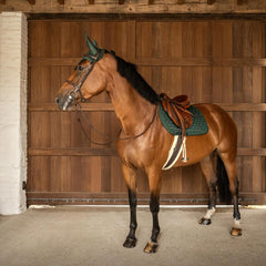 Kentucky Horsewear Saddle Pad Classic Onion Plaited Glitter Rope Show Jumping