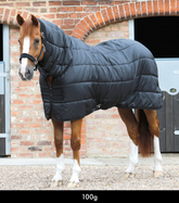 PEI 100g Combo Horse Rug Liner